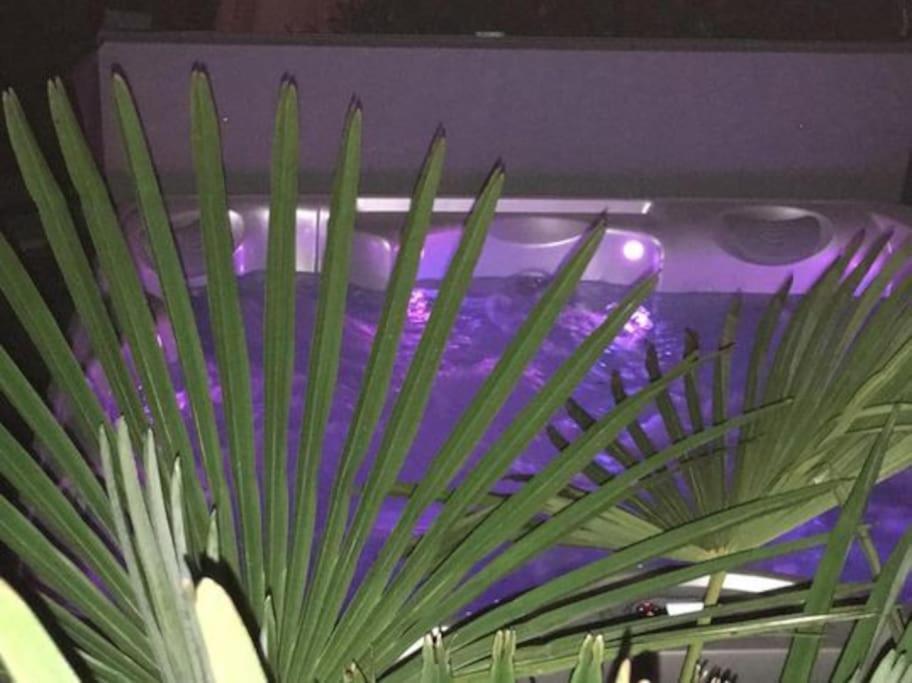 Un Petit Coin De Paradis Toulouse Dış mekan fotoğraf