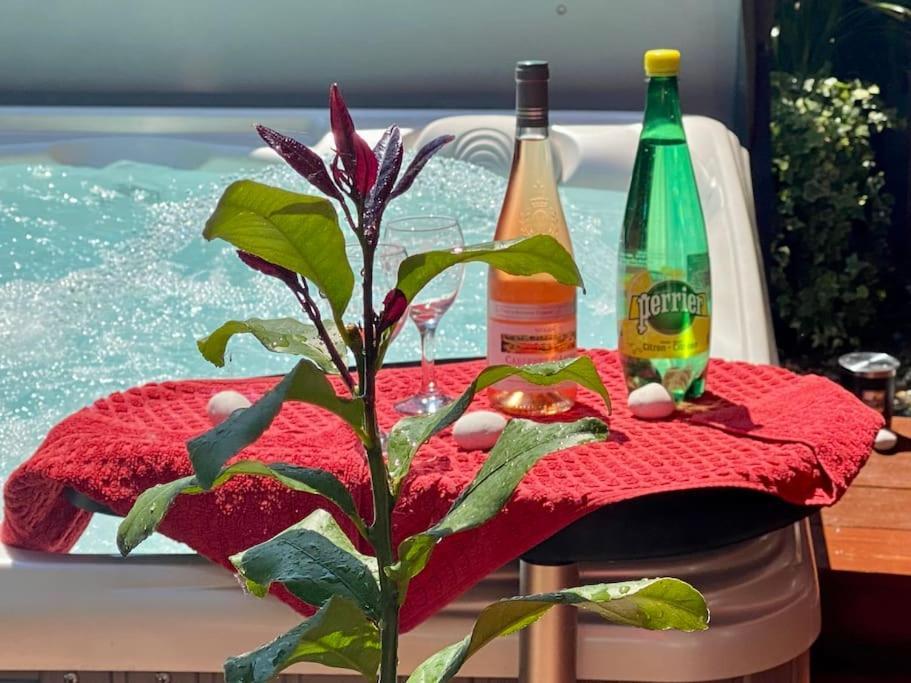 Un Petit Coin De Paradis Toulouse Dış mekan fotoğraf